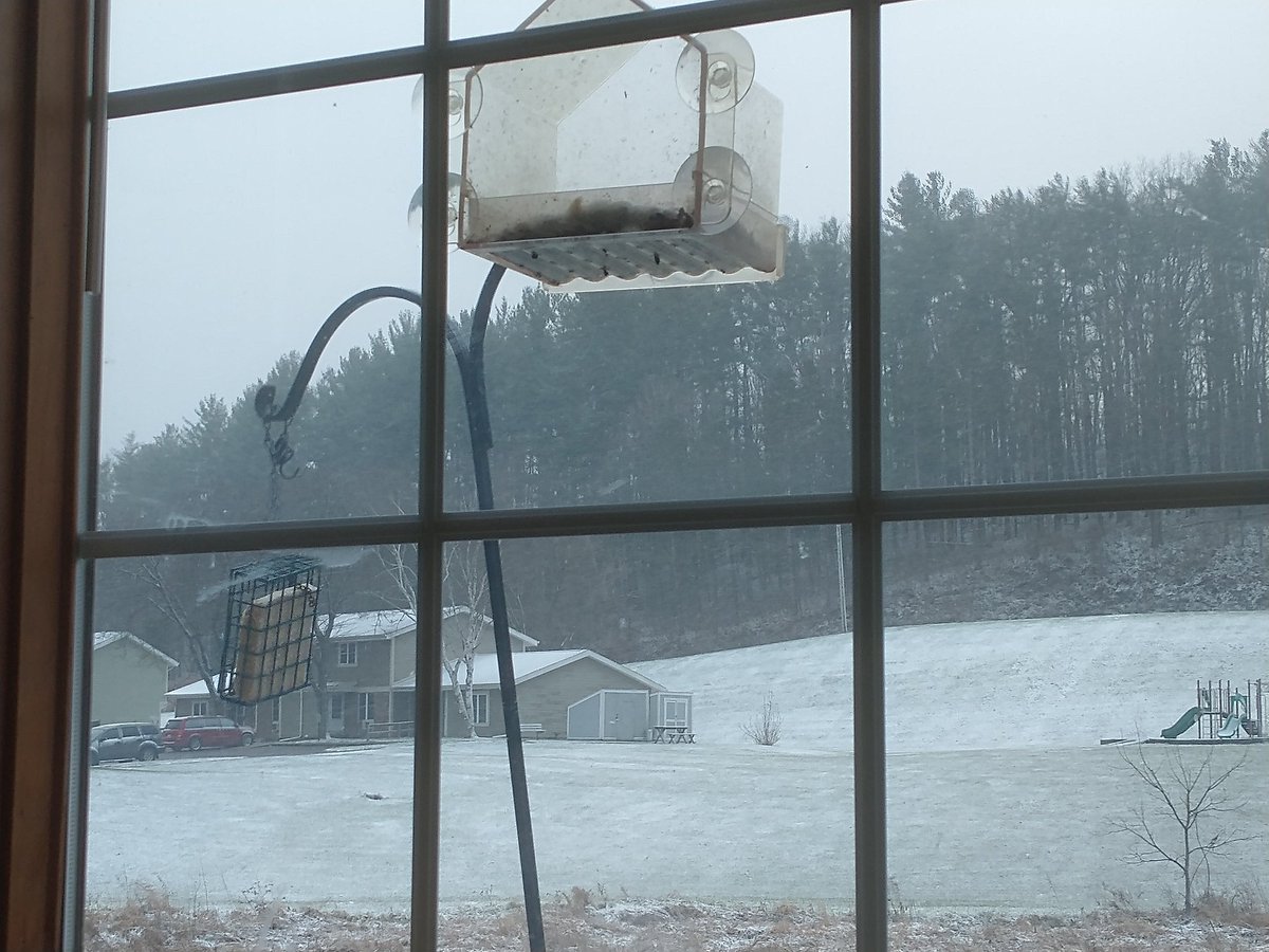 pokerluckbox's tweet image. The snow ❄️☃️ is traveling parallel to the ground so I don&apos;t think I will be going anywhere today.