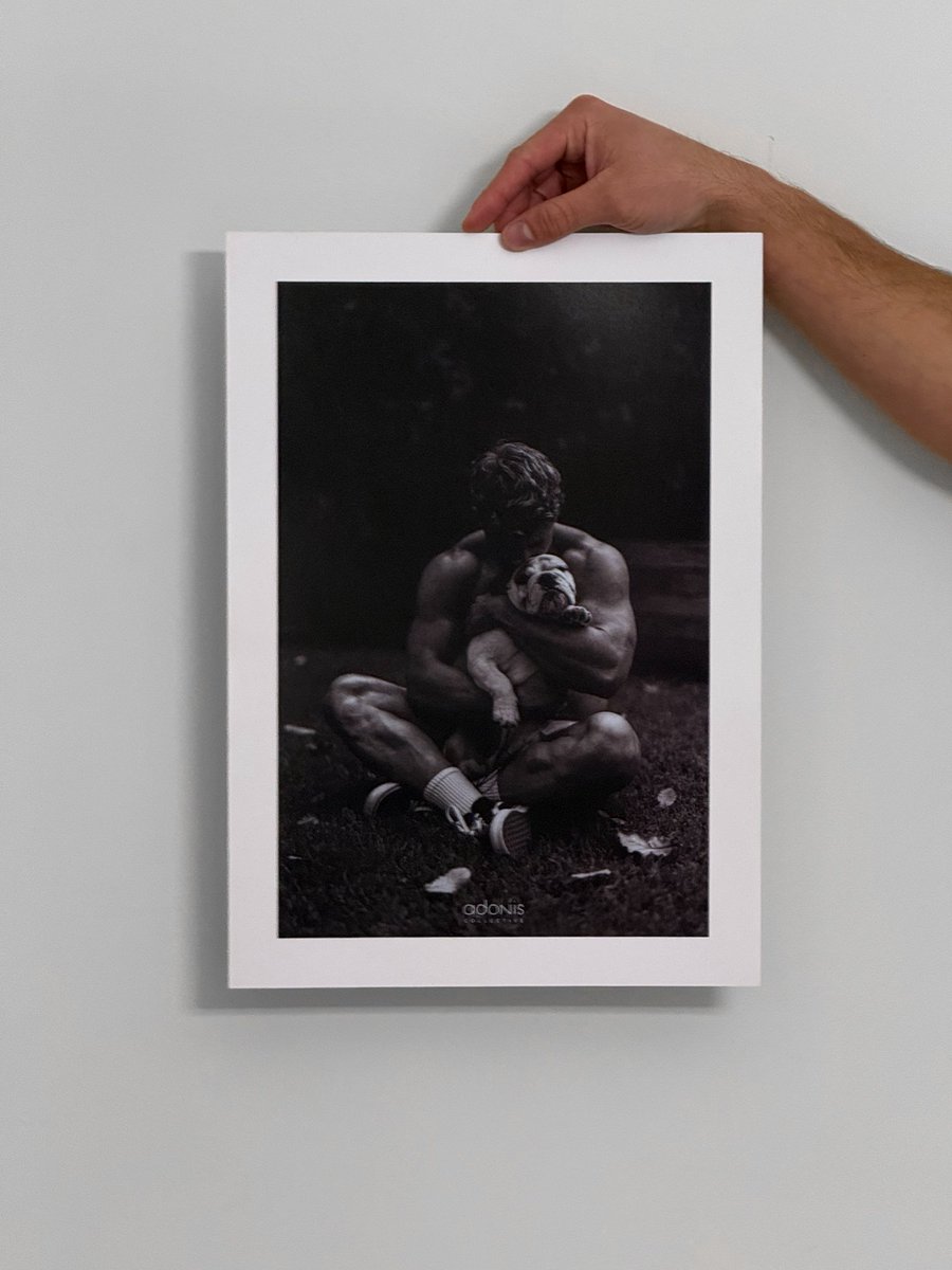 Adonis_Collective tweet media