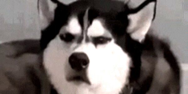 thecodinglove's tweet image. When I realize I reviewed the wrong pull request thecodinglove.com/when-i-realize…