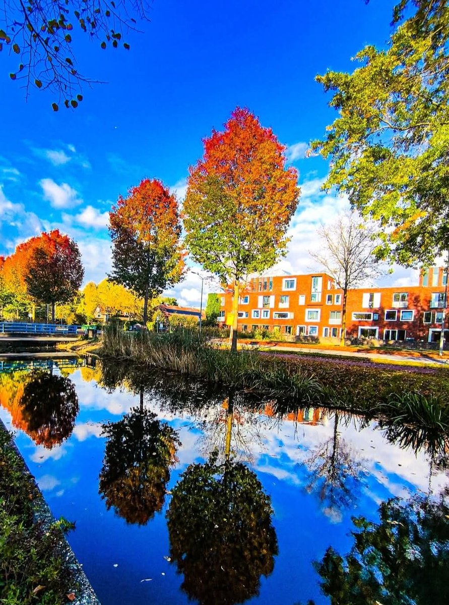 Rinkyy05's tweet image. Vibrant red-orange trees glow as #love takes the lead
Calm water reflecting every color we need
Sunlight warms us on this quiet street
Two hearts walking close, matching every #heartbeat
Autumn surrounds us in perfect connection-
Love shining bright in every #reflection

#vss365