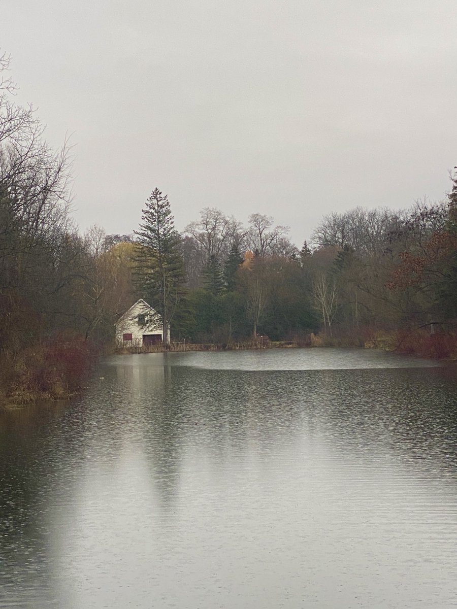 Jdavis_Halton's tweet image. Even when the sky is grey and the raindrops descend … nature still colours my world. #peace #tranquil #November ☮️ 🇨🇦