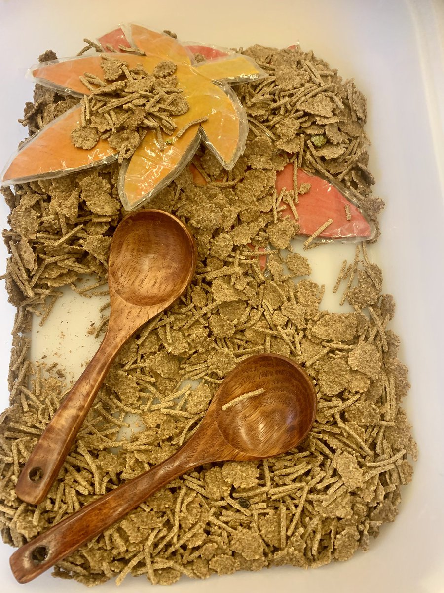 Drimatosh's tweet image. Scooping, pouring, sorting and exploring! Our sensory trays turn simple materials into big learning building fine-motor skills, early maths and endless curiosity. #SensoryPlay #EarlyYears #LearningThroughPlay #EYFS #FineMotorSkills