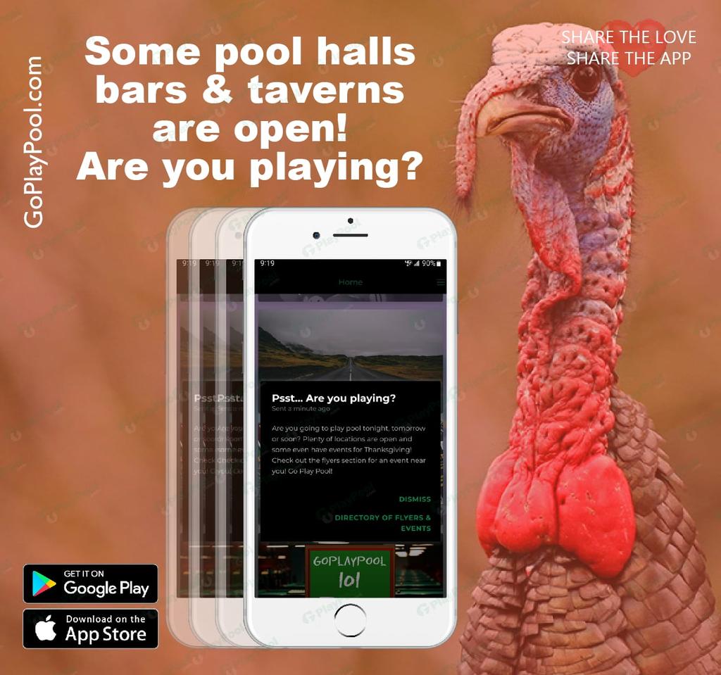 GoPlayPool's tweet photo. For Thanksgiving - Some pool halls/rooms, bars and taverns are open for the holiday. Are you playing? 🤔🤔👍
#poolhalls #poolrooms #bars #taverns #Thanksgiving #playing #goplaypool #goplaypoolapp https://t.co/rMMfHgYBCv