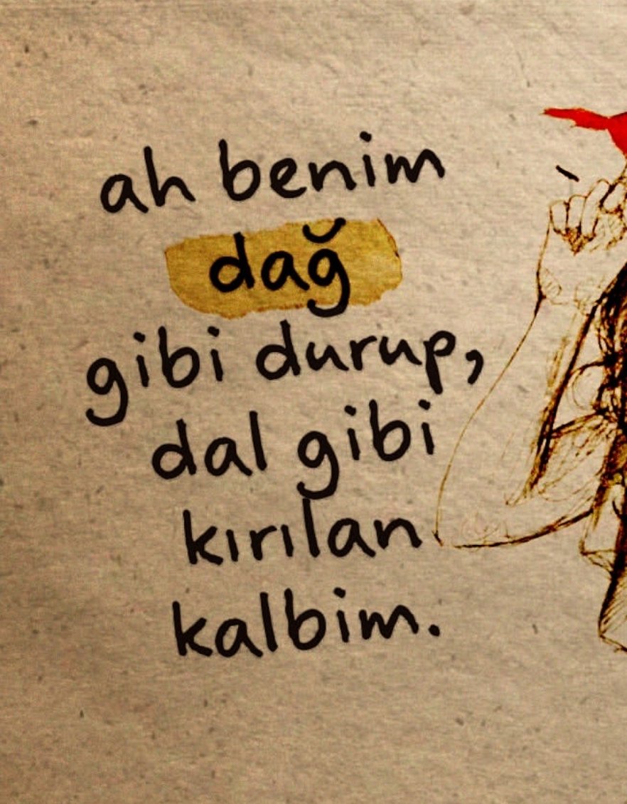 Hanedan Sahhaf (@hanedansahhaf) on Twitter photo 