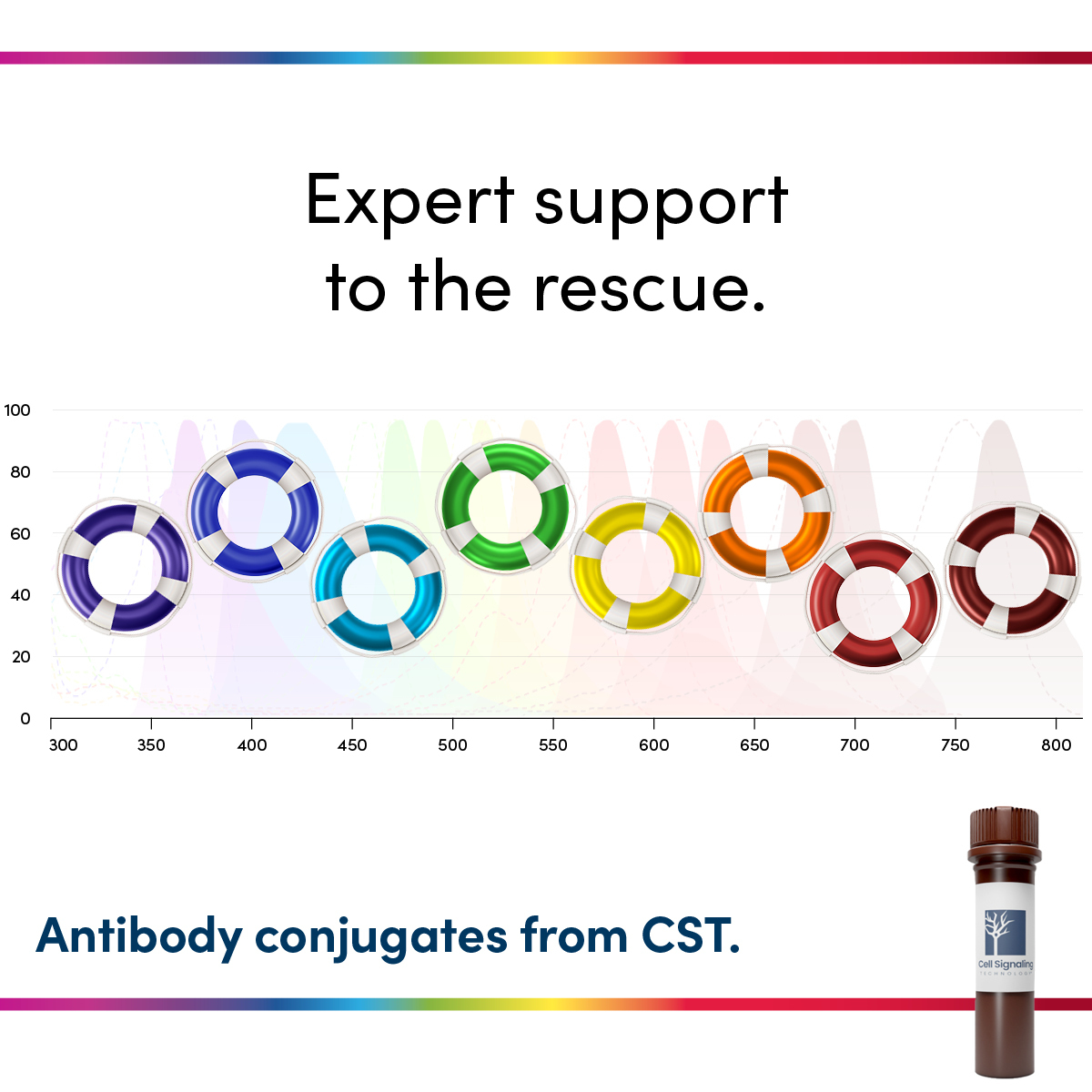 CellSignal's tweet image. Never have to question your conjugates. Experiment confidently with antibodies trusted by scientists worldwide and support from our team of conjugation pros 💪

hubs.ly/Q03MX_tL0