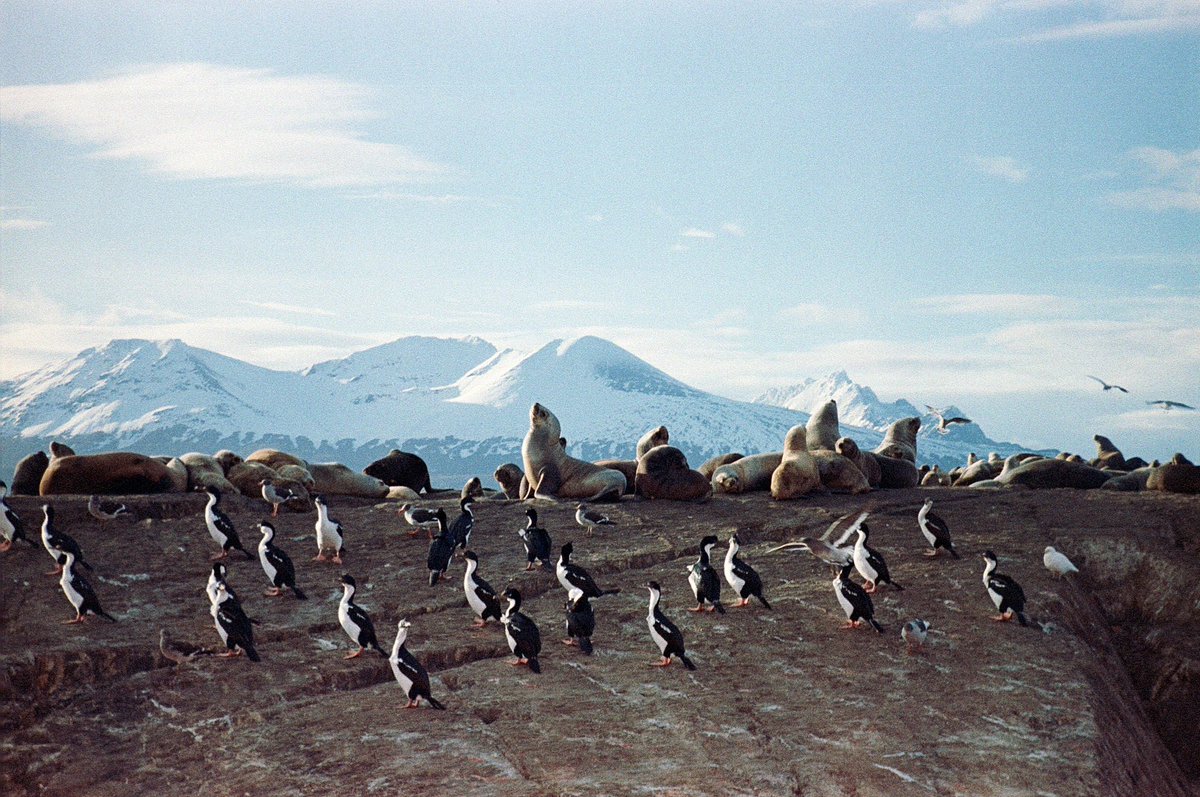 Paola Mysterio ✨ tweet media