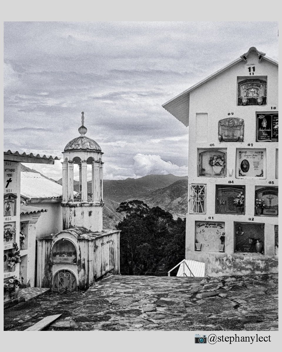 stephanyLect's tweet image. “Lo enterraremos todo,
los brazos, el movimiento y la pala,
la pasión de los viernes,
la bandera de andar solos,
la pobreza, esa deuda,
la riqueza, esa otra&quot;. 

—Roberto Juarroz 📚
#photograghy
#poesia #robertojuarroz