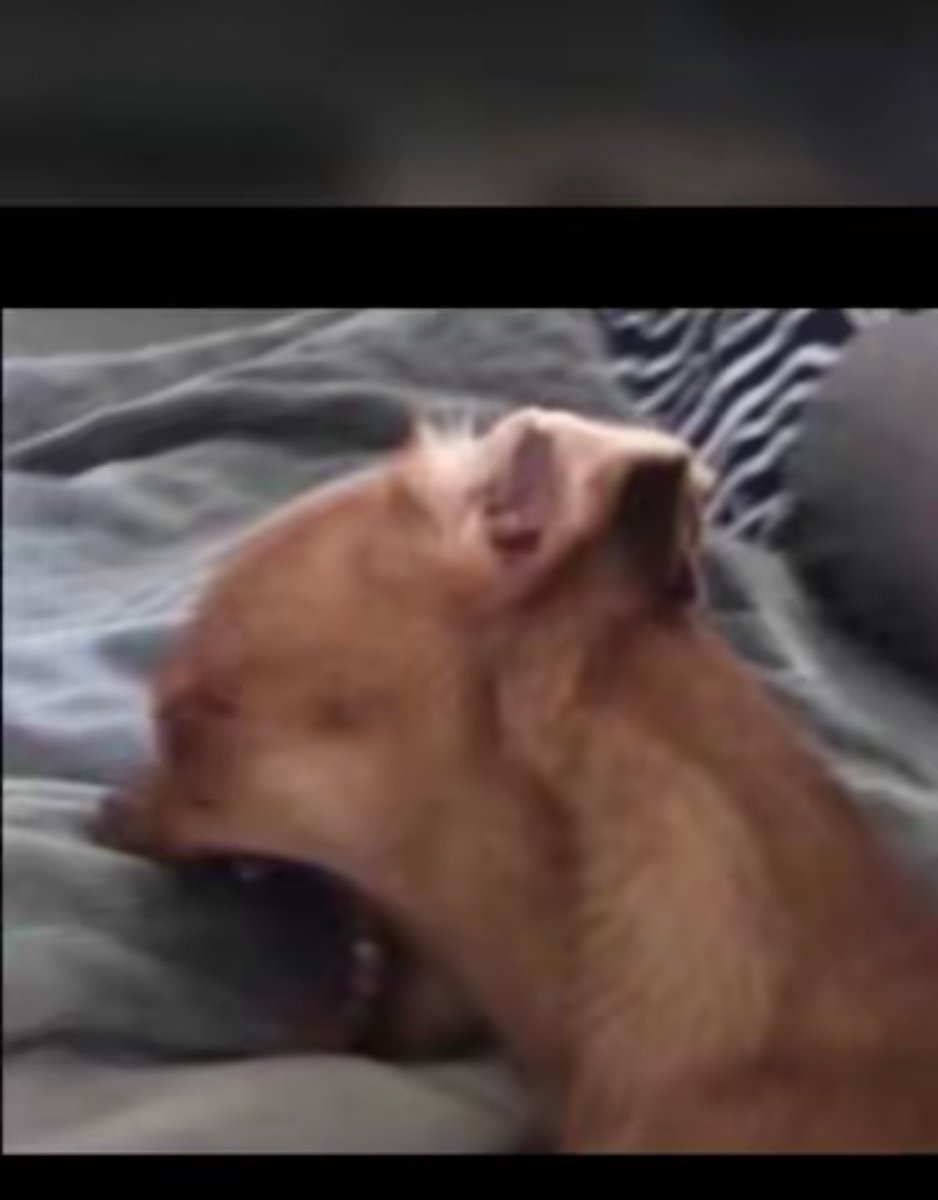 debstarfx's tweet image. Stop-loss nah water 💧 💧💧😭

what do u ppl do after an sl? 😪