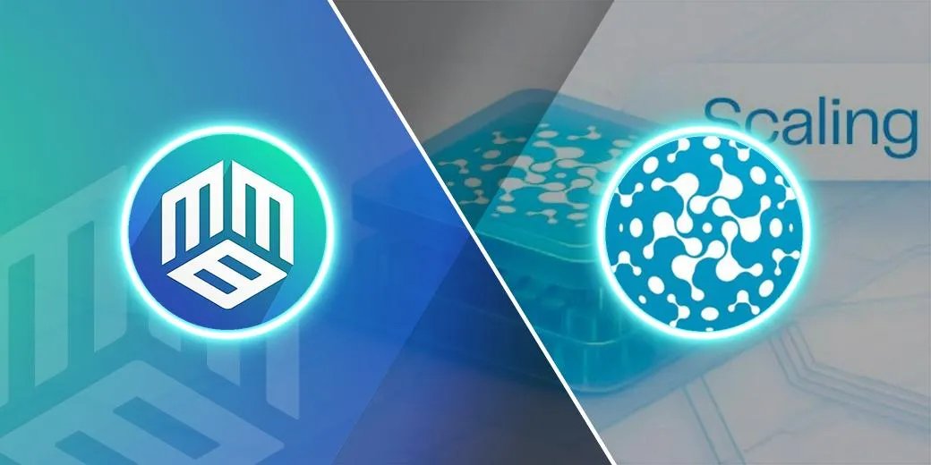 MBMweb3's tweet image. MBM 🤝 IOTY Protocol

Thrilled to announce a collaboration with @Ioty_protocol

Together, we&apos;ll explore what makes IOTY Protocol stand out.

We&apos;ve secured an allocation for our community!

Join our discord to become a MBMaxi and Legacy!