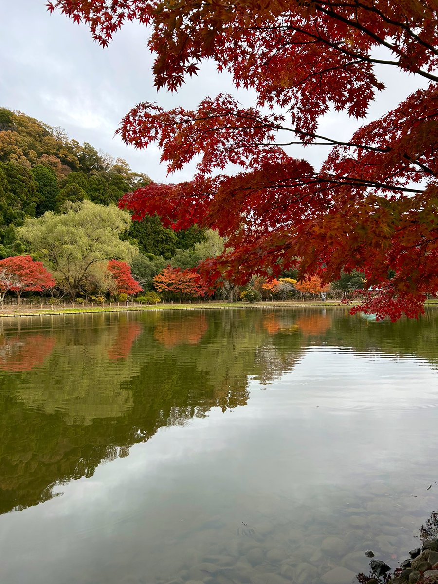 福島県の国宝みてきました