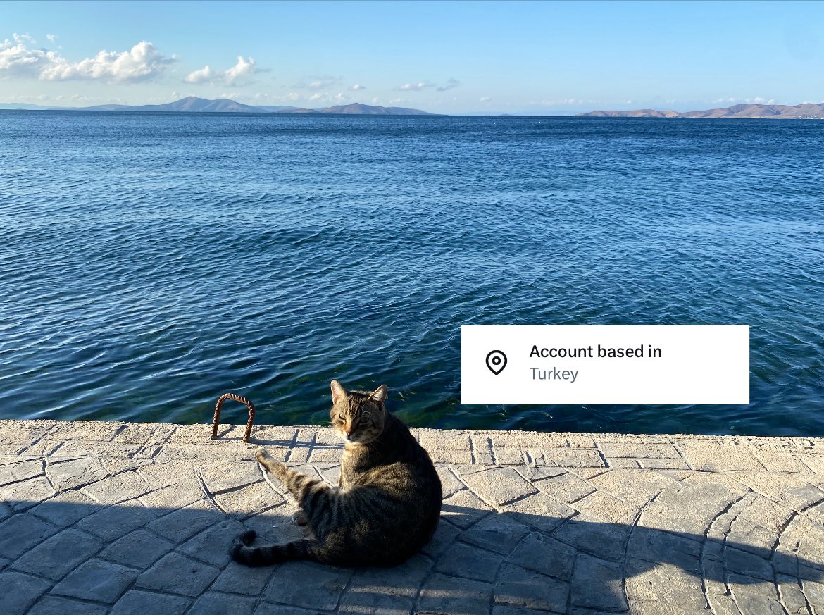 punkbalik's tweet photo. yapmasam olmaz KITTTYYY UHHHH https://t.co/Dohprsl4dQ