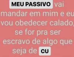 mattchowskii's tweet image. *meu ficante premium se acidentou e eu fiz marmita e levei pra ele*