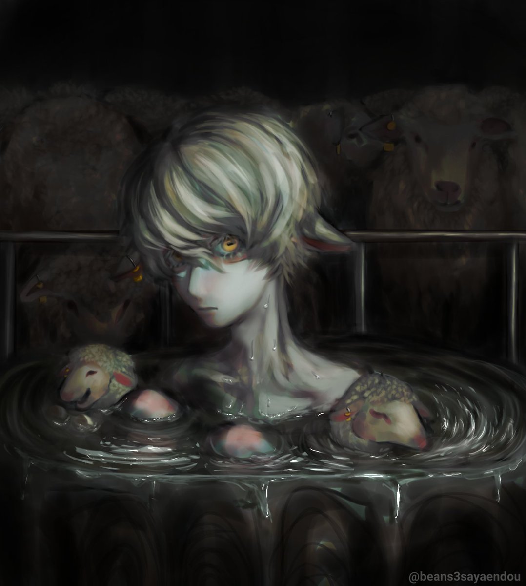 豆3🌞 tweet media