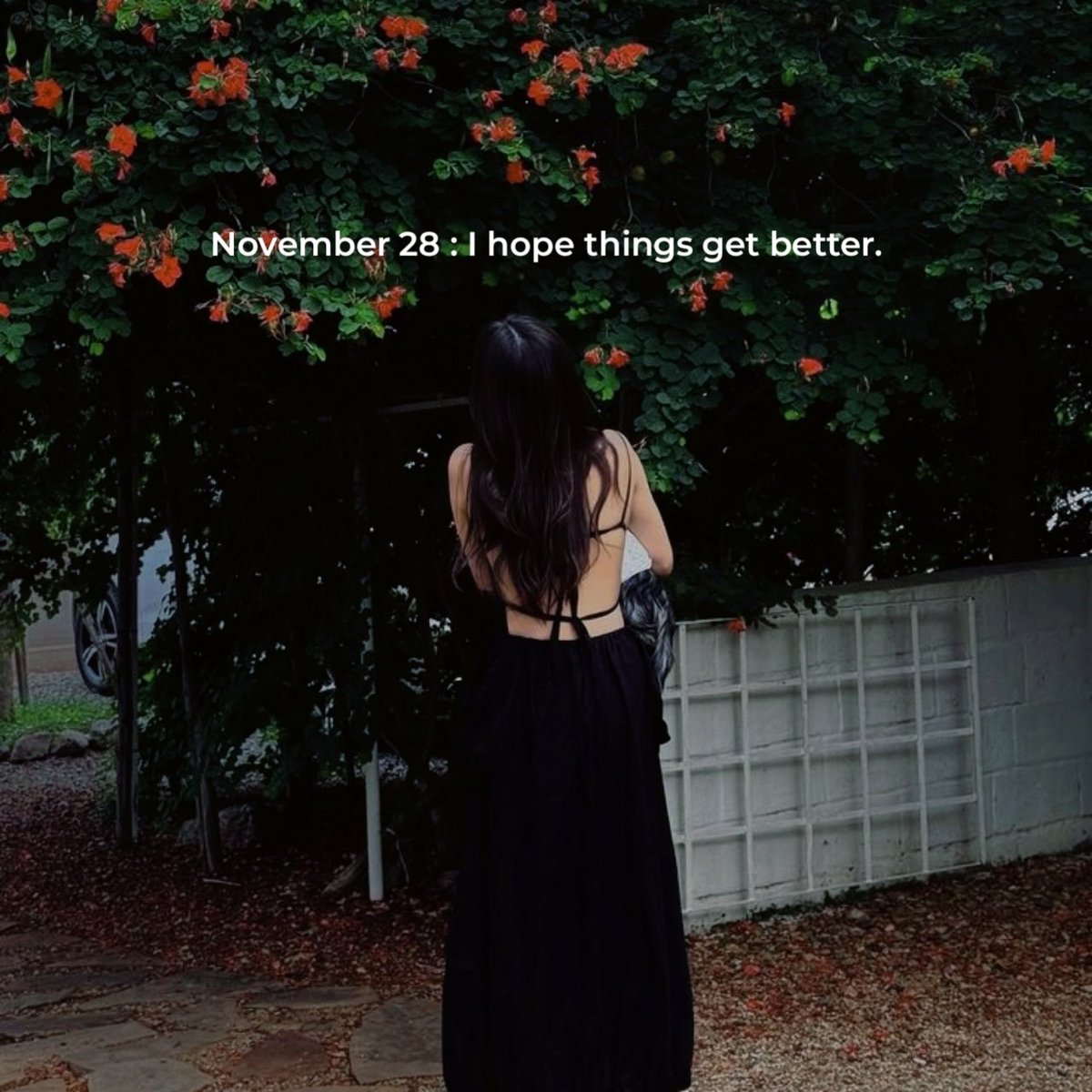 wordpostdaily's tweet image. Friday, November 28