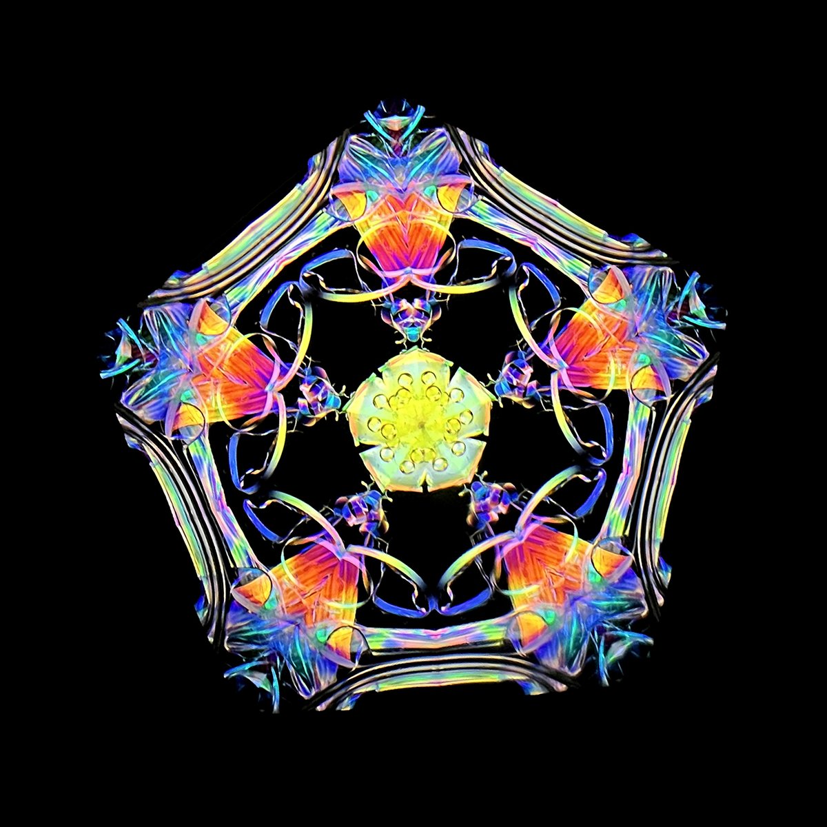 2025 幻 No,047】 細野朝士 オイルとドライのハイブリッド 2ミラー5