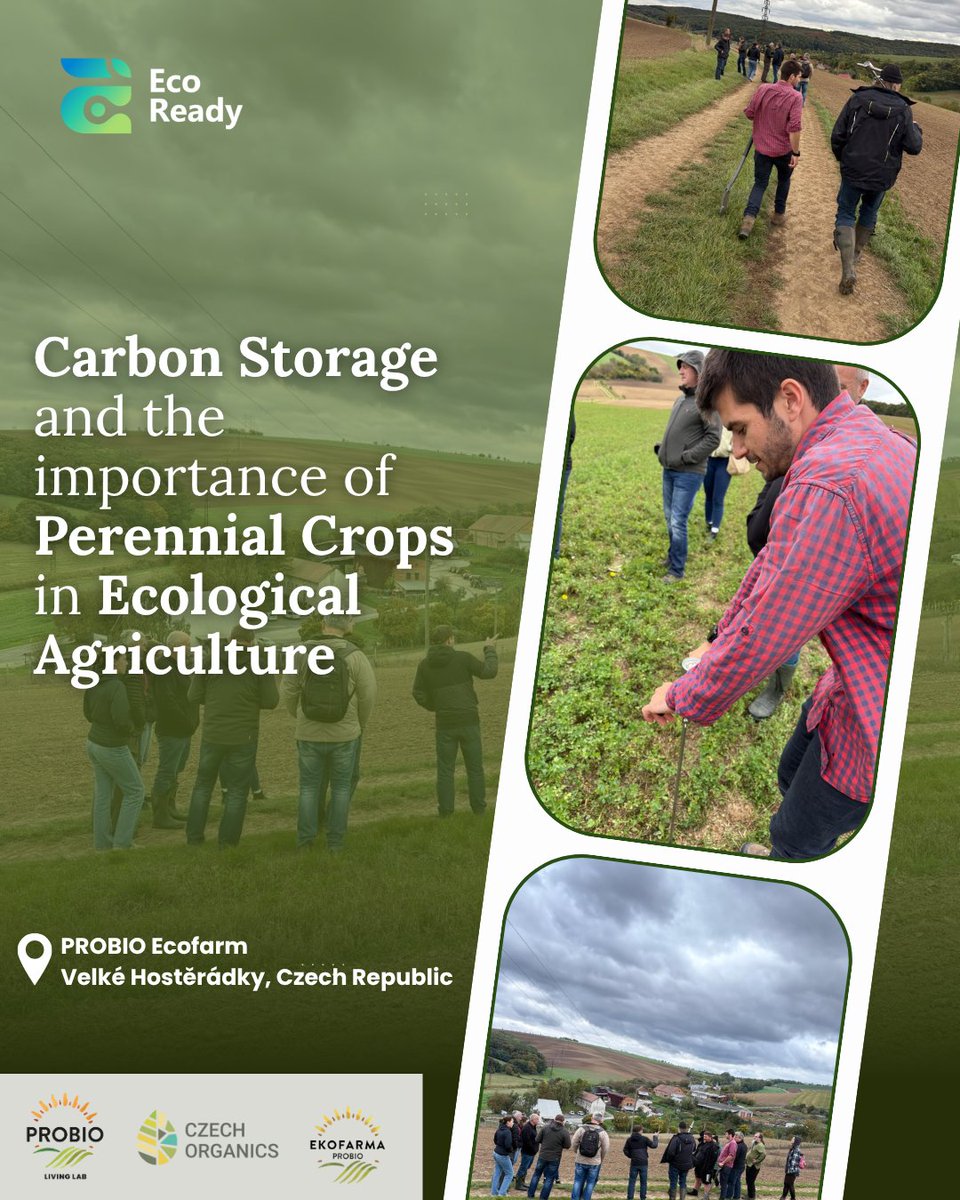 EcoReady_eu's tweet image. Our Living Lab partner PROBIO recently hosted an insightful field event at the PROBIO Ecofarm, focused on carbon storage and the critical role of perennial crops in building resilient farming systems.

Learn more about the living lab: eco-ready.eu/living-labs/pr…

#EcoReady