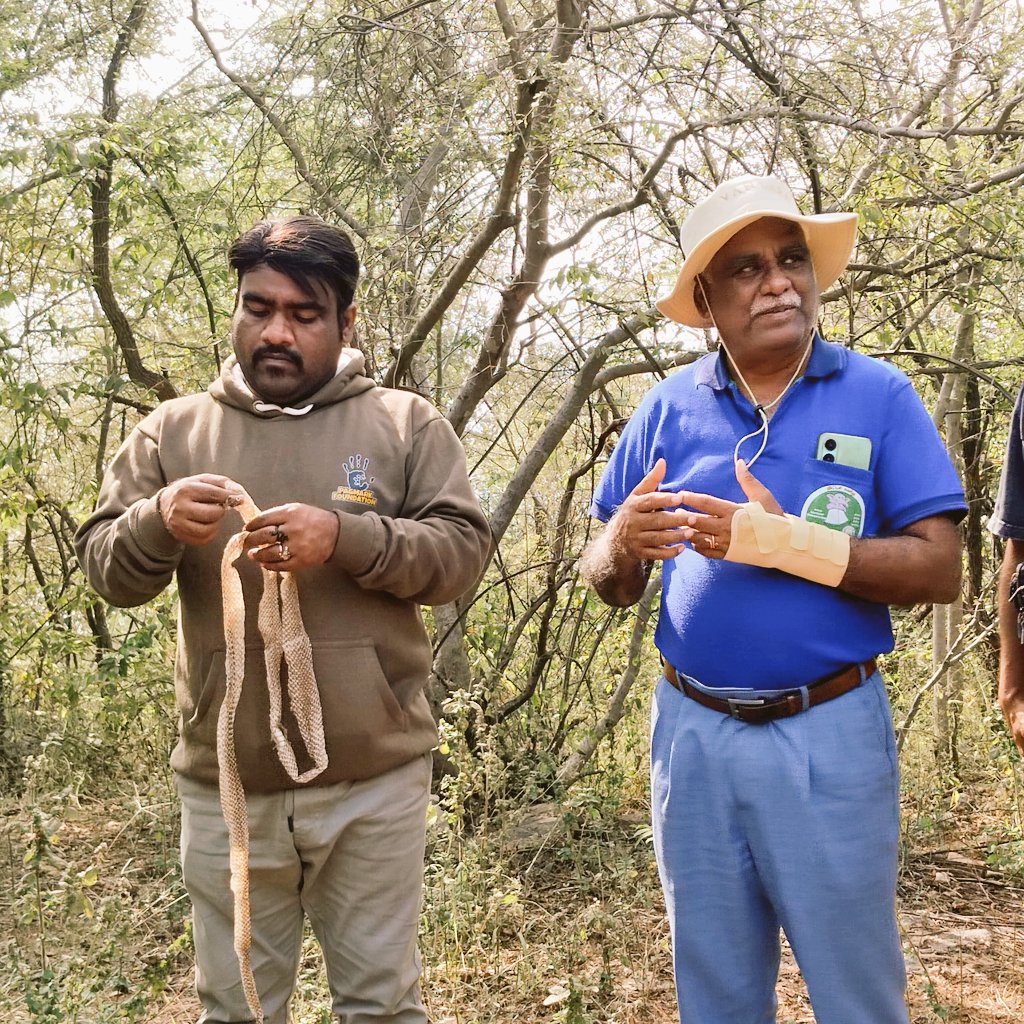 DevvartHada's tweet photo. #DoYouKnow : हर साँप क्यों छोड़ता है अपनी पुरानी पहचान?

केंचुली: साँप समय-समय पर अपनी पूरी त्वचा को उतार देते हैं, जिसे केंचुली छोड़ना कहते हैं। यह प्रक्रिया साँप के विकास, घावों को ठीक करने और परजीवियोंसे छुटकारा पाने के लिए ज़रूरी है। 
 #Workshop #SnakeConservation #MHTR #Kota https://t.co/tKWykv22Yl