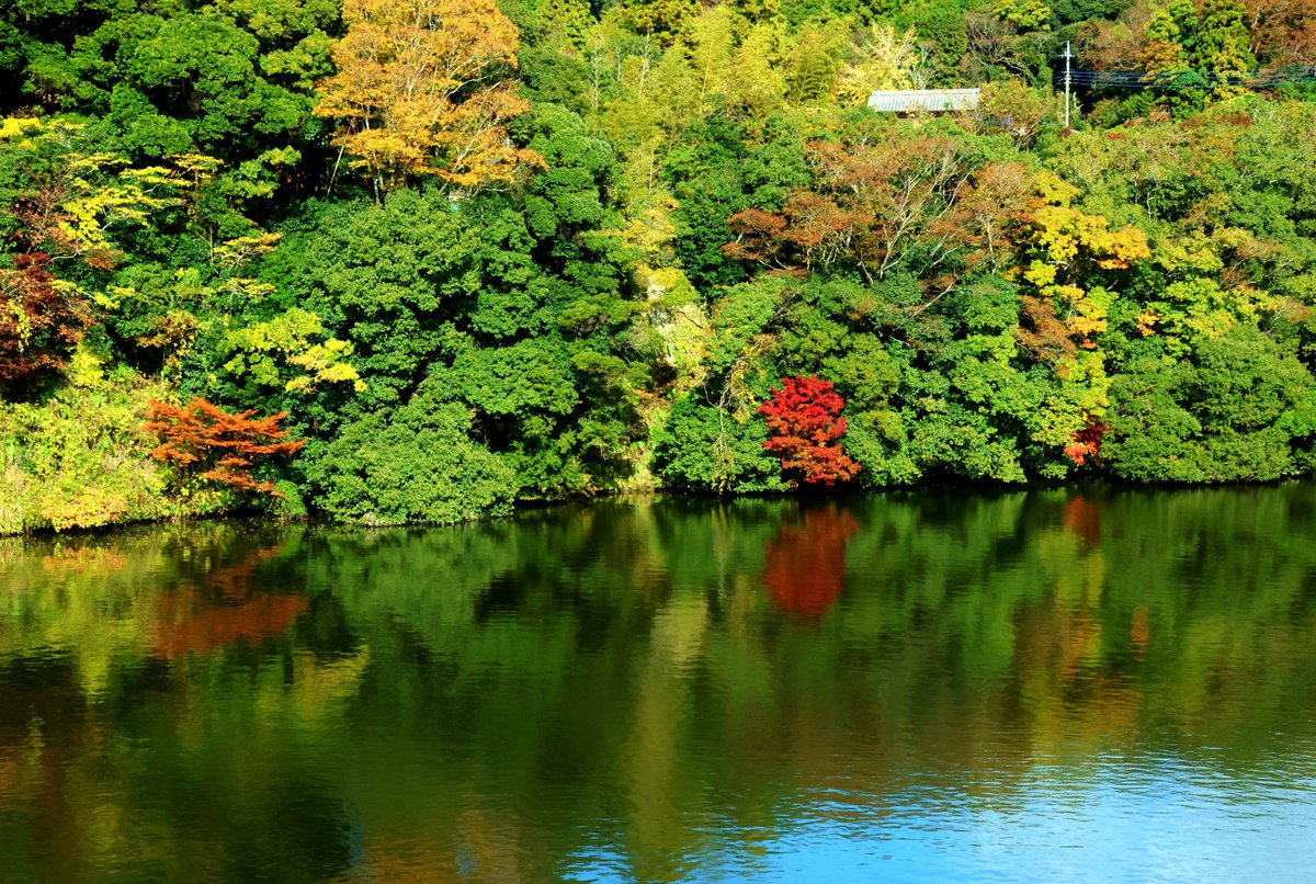 SurfCona's tweet image. おつかれさま～です🌛
今夜は綺麗な三日月ですね💫
ゆっくりお寛ぎください🍄🐌