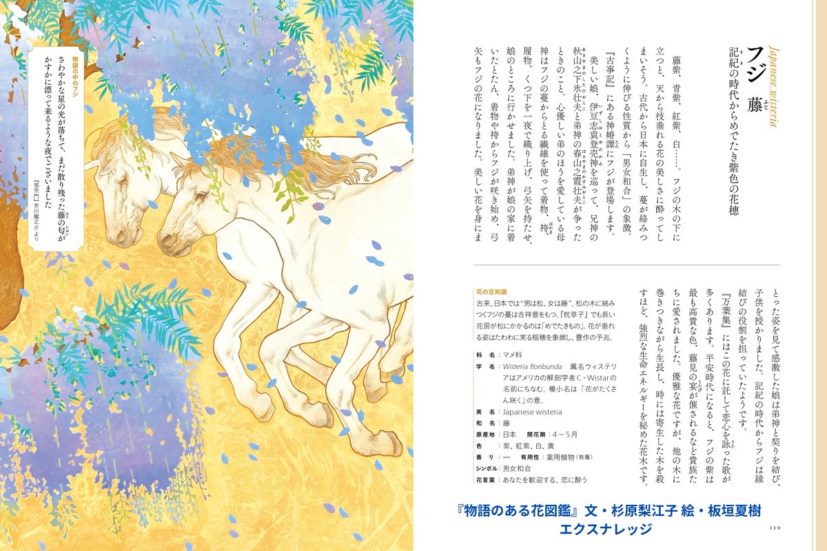 エクスナレッジ tweet media