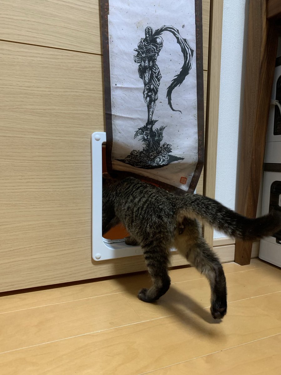 エントリーして帰っていった。
オタッシャデー