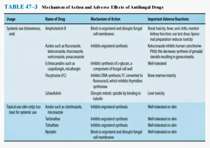 medicoaware's tweet photo. Effect of antifungal drugs https://t.co/8PLFze853o