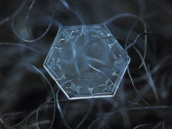 KentSGodfrey's tweet image. Tone, rhythm, melody, and harmony are everywhere in nature such as in this ice crystal. 👀 🎶🌿  They form a visual symphony. #MultisensoryMusic  #VisualMusic #VisualRhythm #RhythmInNature #MusicInNature #SacredGeometry #MusicInScience 
buff.ly/3W66y39