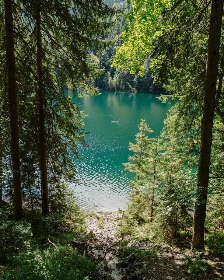 Wa-Bush (@bondzabby) on Twitter photo 