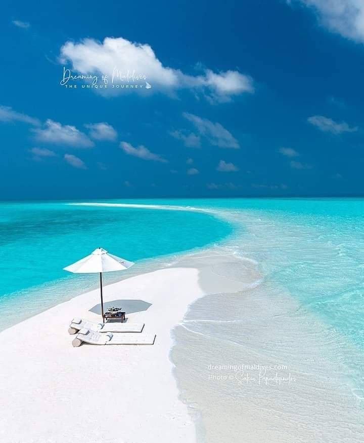 Amazing Nature (@amazingpicshq) on Twitter photo 