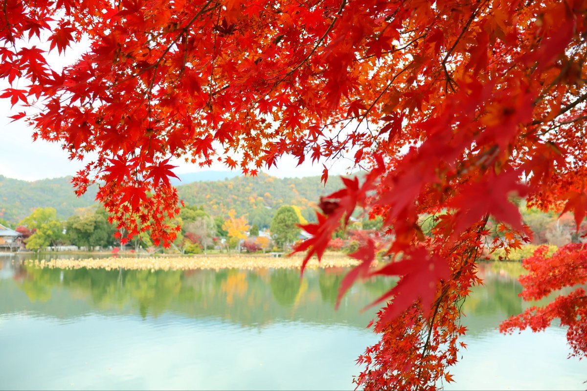 ちろさん (@3W3XyOj1qHU1xgw) / Posts / X