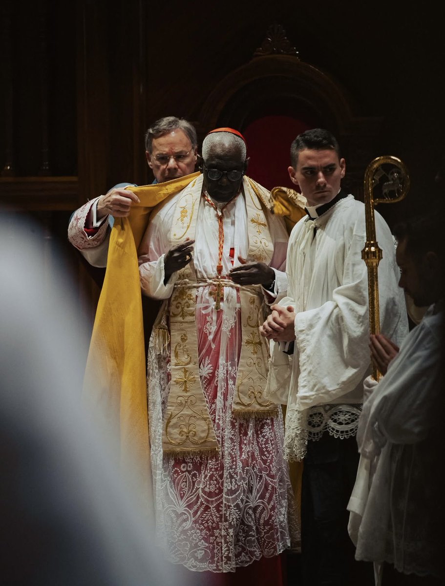 Card_R_Sarah's tweet image. 