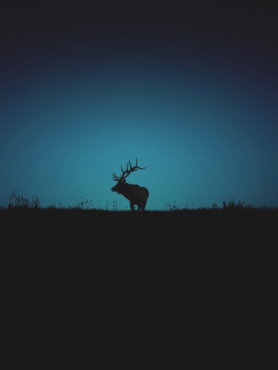 earthcurated's tweet image. The Pacific Northwest.