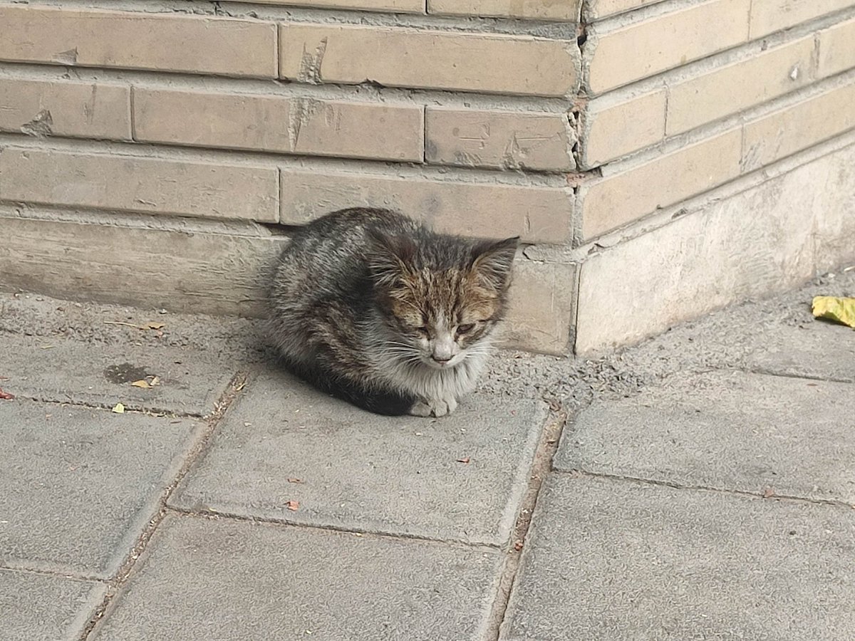 Labohme4's tweet image. منم همین‌طور پیشی، منم همین‌طور.