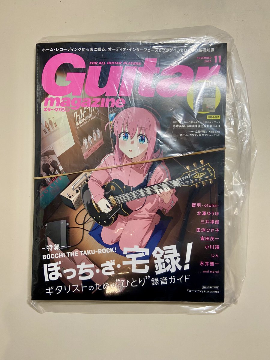 玄関でふと山のでっぺんの未開封大型封筒が目に留まって開封してみた