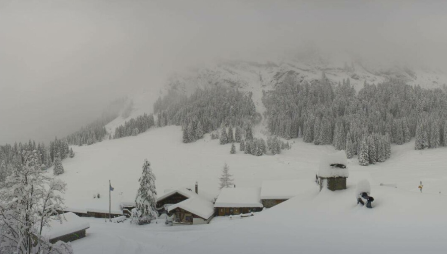weathertoski tweet media