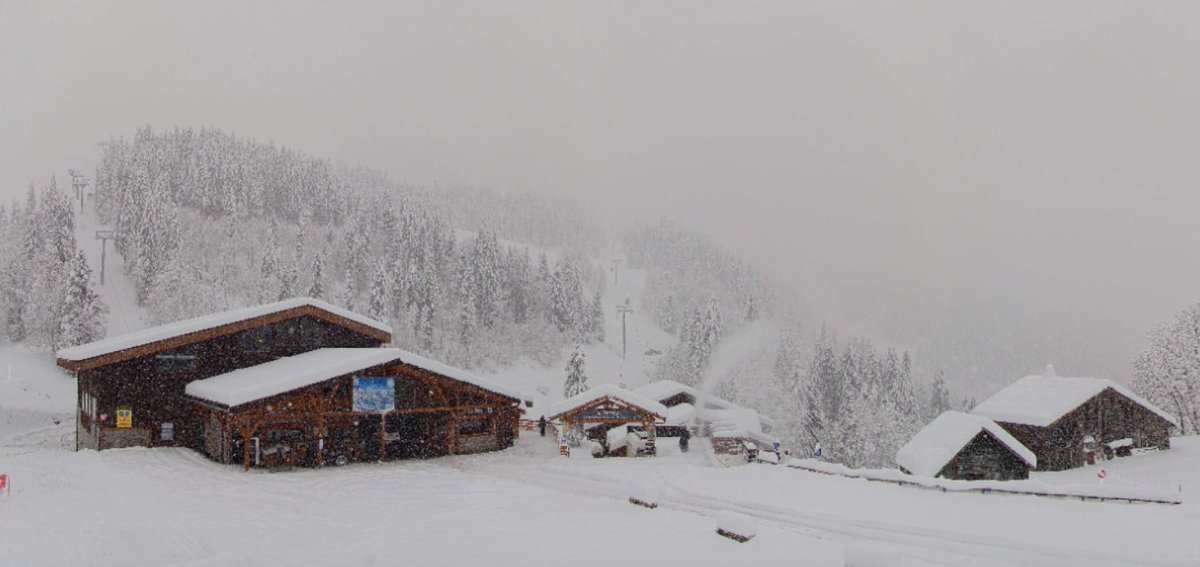 weathertoski tweet media