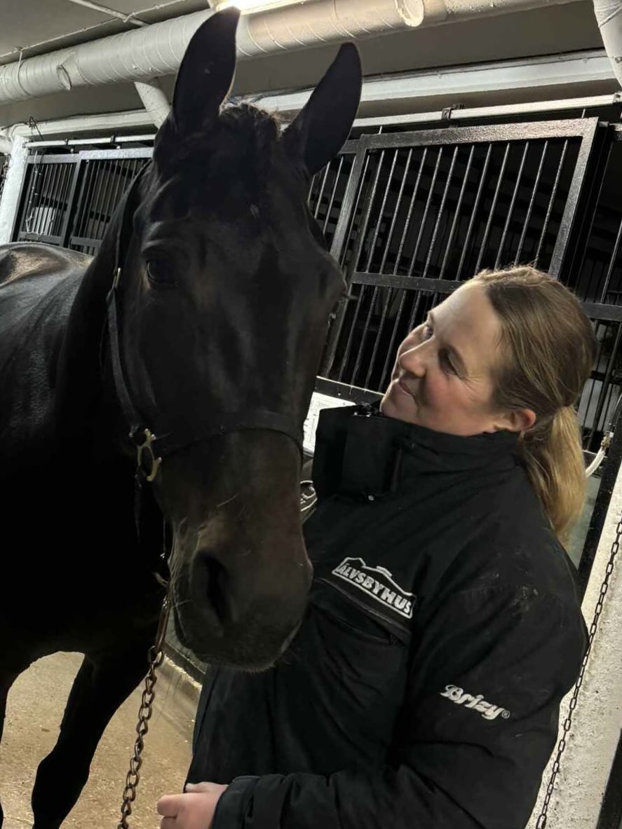 Bergsåker 25 november vinnare lopp 6 Norrlands Elitserie -Tvååringslopp, Mister Nabab!

Segertid: 15,9a 2140m
Ägare: Ecurie Jean-Pierre Barjon
Skötare: Camilla Björk