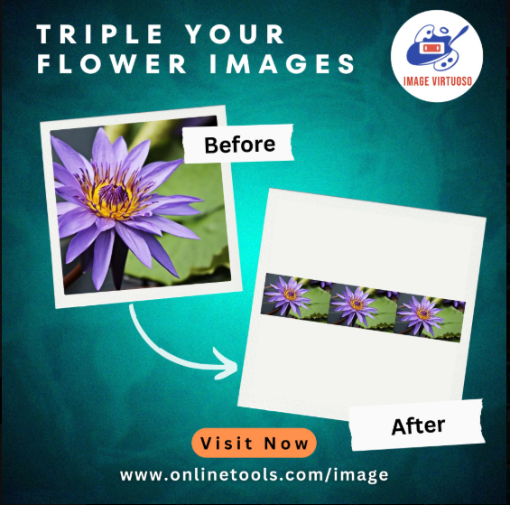 ImageVirtuoso's tweet image. Duplicate your flower image three times for a consistent and symmetrical design.  
Try our tool - onlinetools.com/image/duplicat… #browserling #PhotoEditing #VisualEffects #Image #CreativeTools #ilwx #PhotoFilters #GraphicDesign #explorepage #CreativeProjects #x #LA28 #IndustryHBO