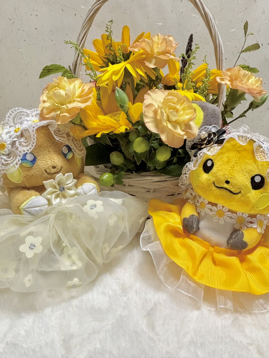 amagi_rai26's tweet image. 今日は11/26なのでいいライチュウの日🥰

いつも一緒にいてくれてありがとう😌
とっても可愛いライチュウちゃんたち、大好きだよ⚡️

#いいライチュウの日