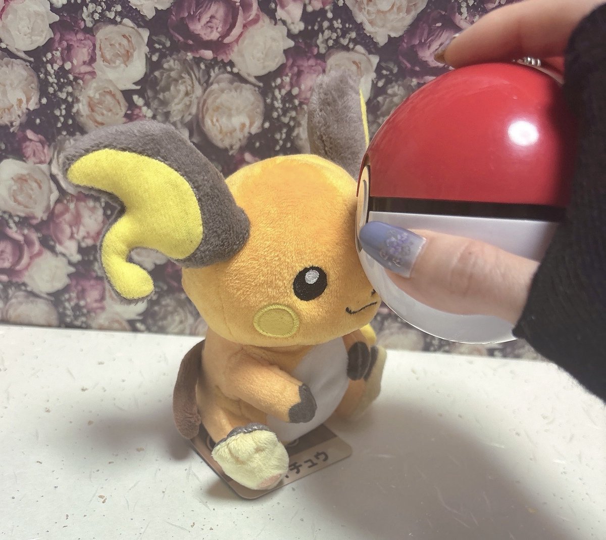 amagi_rai26's tweet image. 今日は11/26なのでいいライチュウの日🥰

いつも一緒にいてくれてありがとう😌
とっても可愛いライチュウちゃんたち、大好きだよ⚡️

#いいライチュウの日