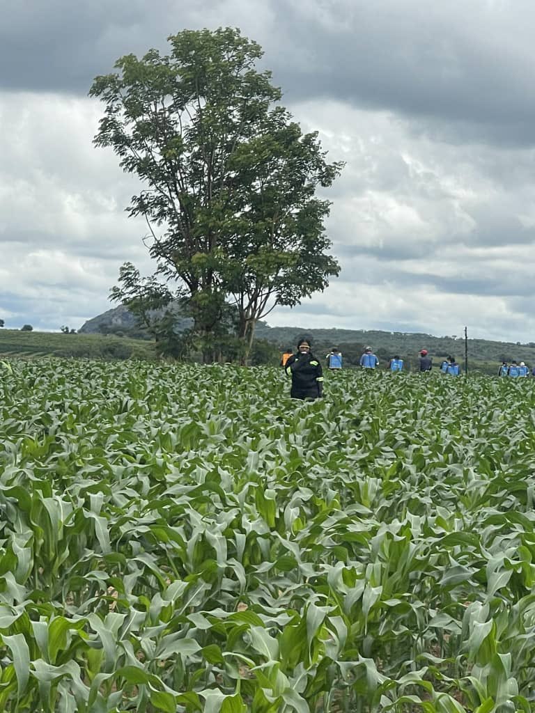 CP Chemicals Pvt Ltd tweet media