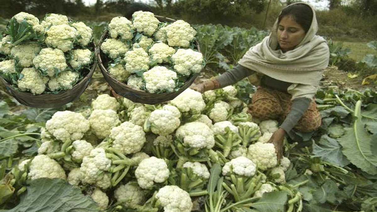 Lolflix_'s tweet image. 🤡🤡🤡