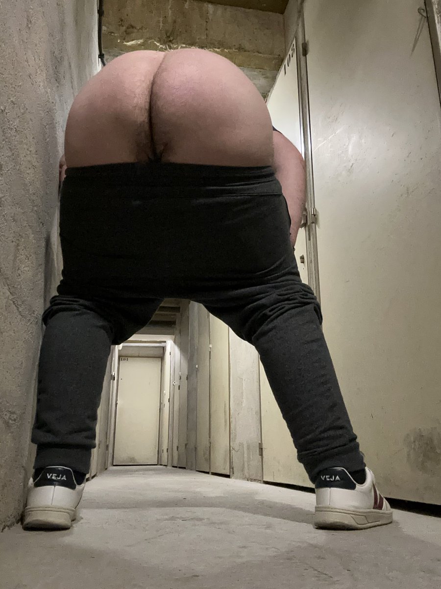 Cool daddy bear tweet media