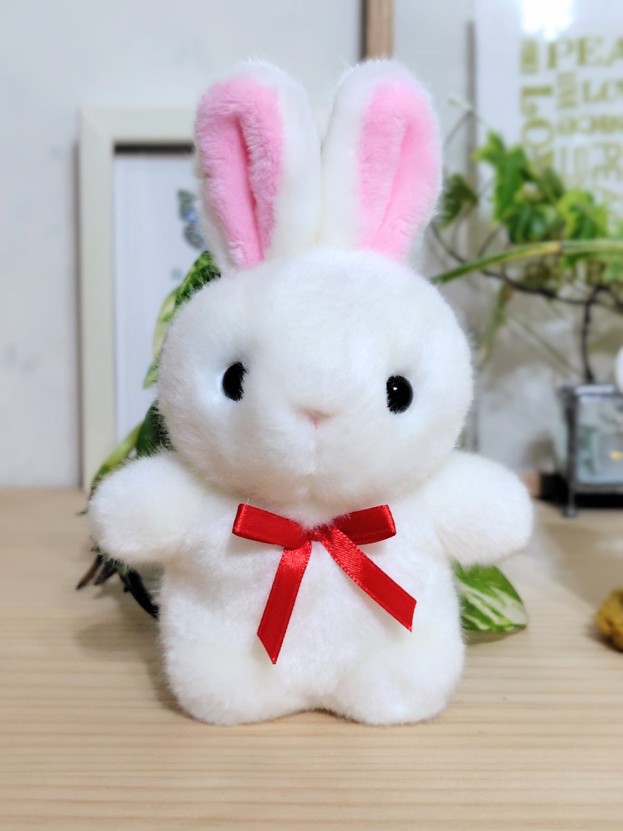 ゆきうさぎ様確認専用 CUTE farm collection お出かけシリーズのうさぎさんをお迎えしました