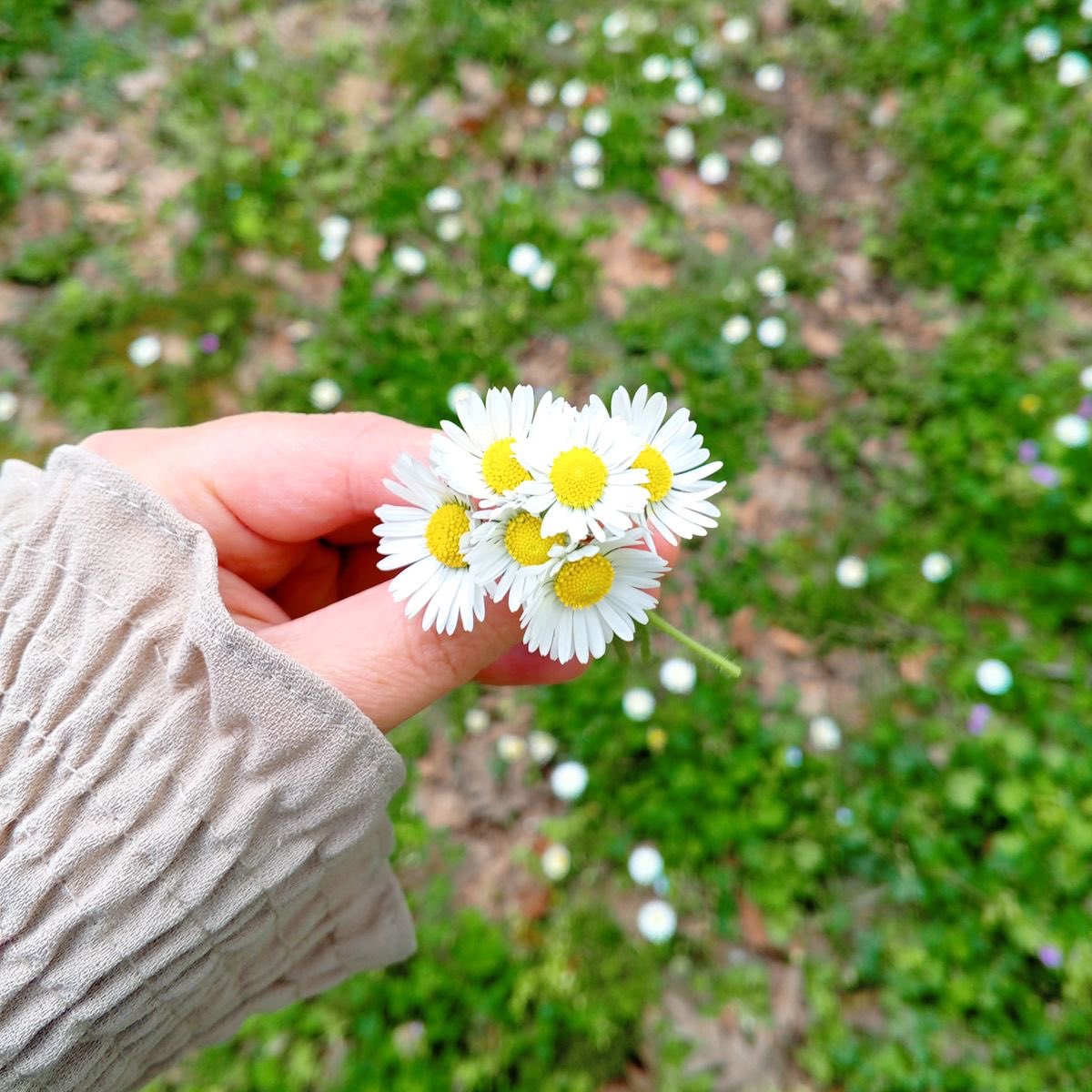 .
.
.
.
ما مات من غرس ..في الناس خيرًا،
بل ظلّ حيًّا في وجدانهم، وإن غاب
وجهُه عن العيون..
.
.
.🍃🤍☕️