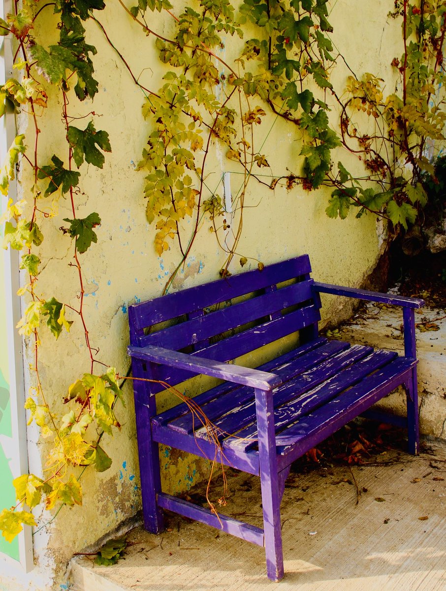 ErolPhotog15142's tweet photo. “Resting corner”
- I came across this resting bench on my walking path this morning.
#restingcorner #bench #purplebench #ivyonthewall #photo https://t.co/oVq7uKez9b