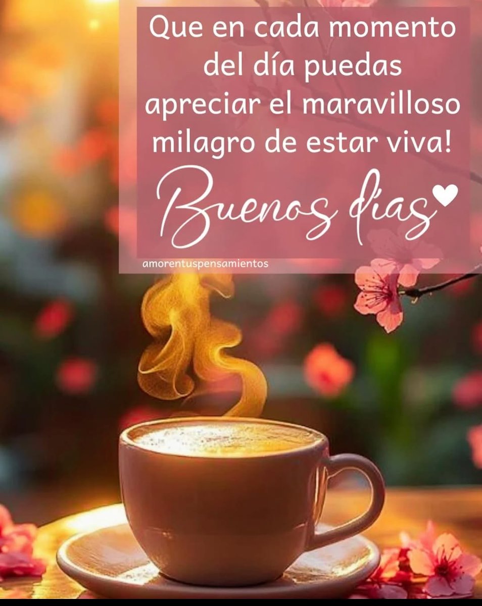 Muy buenos días mis guerreros de todo el🌎, espero hayan amanecido súper bien, les deseo todo lo mejor para hoy. Tu mejor maestro es tu último error😉 feliz mitad de semana, feliz miércoles☀️☕🤗😘