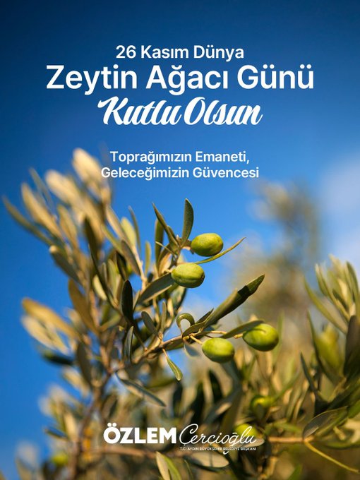 Aydın’da 26 Kasım Dünya Zeytin Ağacı Günü Kutlanıyor