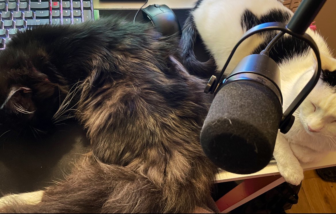 MushmallowVT tweet media