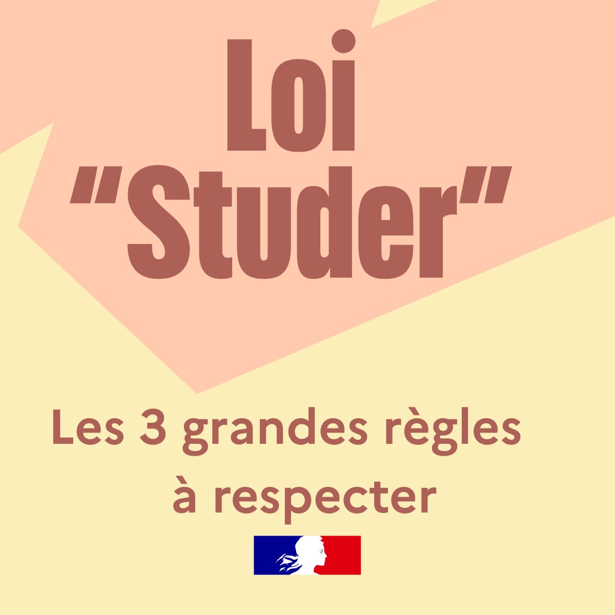 #DroitsDeLEnfant | Comment respecter la loi Studer ? 

Il existe 3 grandes règles à respecter : 
👉 Monter une entreprise pour cette activité et la déclarer.
👉 Obtenir un agrément.
👉 Et respecter certaines obligations financières.

 ➡ Retrouvez toutes les explications en vidéo