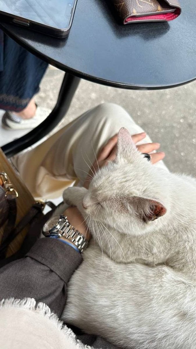 .
.
.
الإنسان لا يرغب بأكثر من أيامٍ هادِئة
وقلبٍ مُطمئِن،لا يمسّه فزع أو شك..
.
.
.🤍🍃